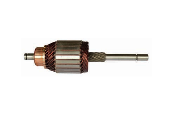 MYB164 